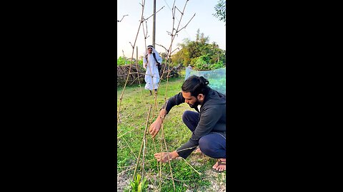 সৌদি আরবের ভাষা শিখেলিছি🤣