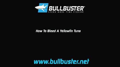 How To Bleed A Yellowfin Tuna