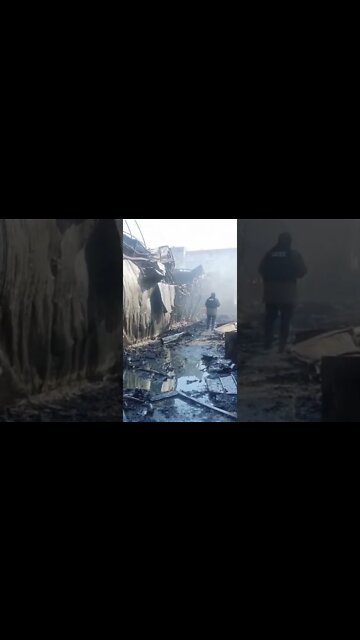 Breaking News (War-Related) #shorts