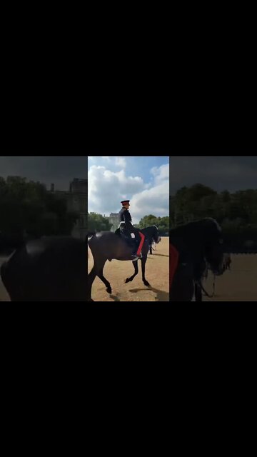 Colonal leaving horse parade #horseguardsparade