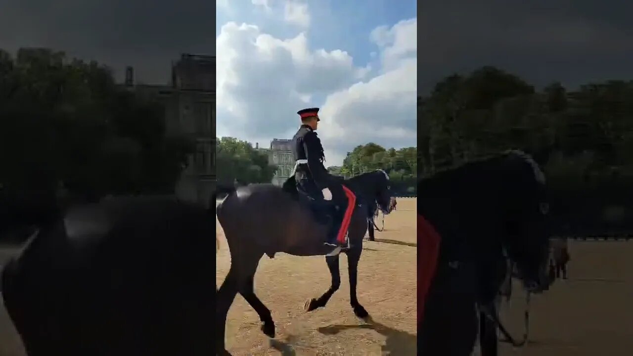 Colonal leaving horse parade #horseguardsparade