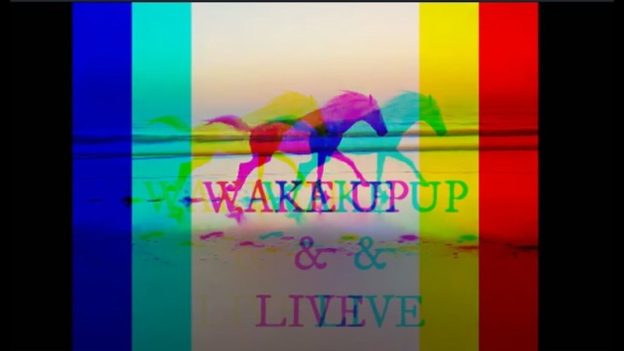 WAKE UP & LIVE