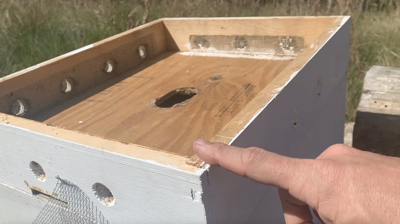 Vented Top Cover Used To Overwinter My Honeybees