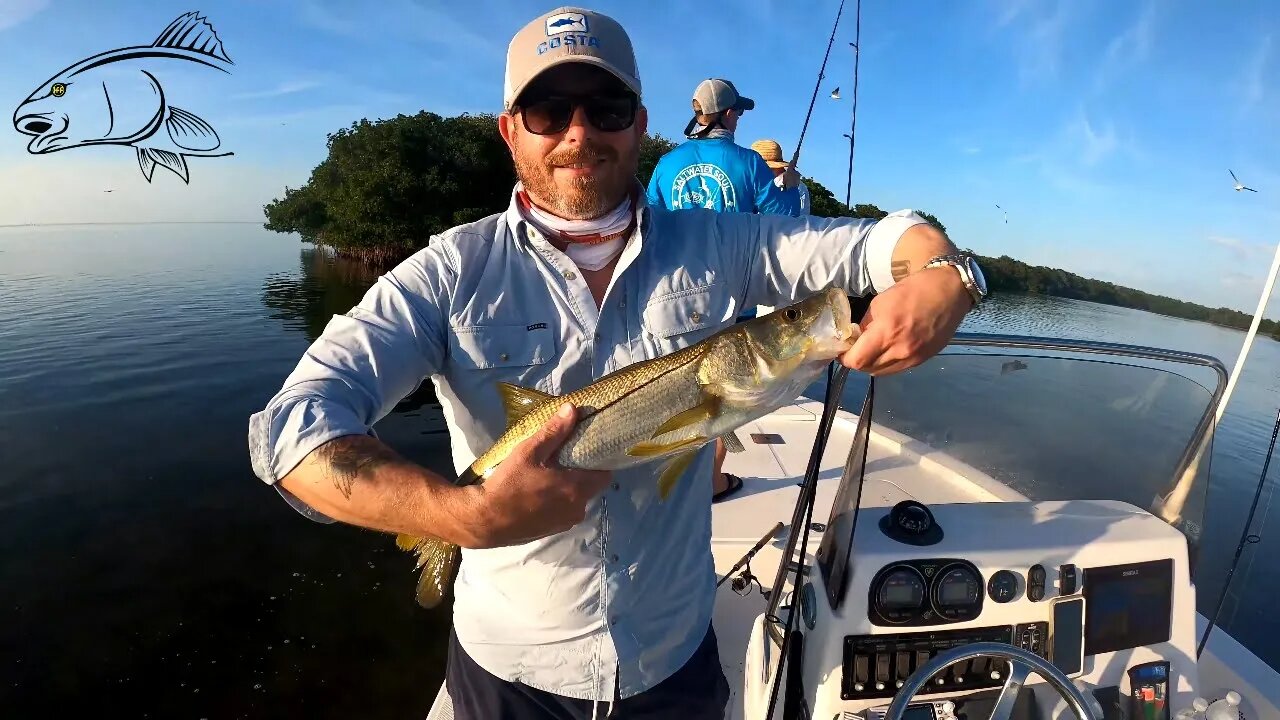 Tampa Bay Snook Fishing Charter Highlights