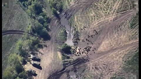 Ukrainians Battling Russians Attempting to Cross a Small River into Kharkiv Region