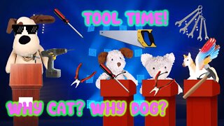 Cat and Dog Learn about Tools