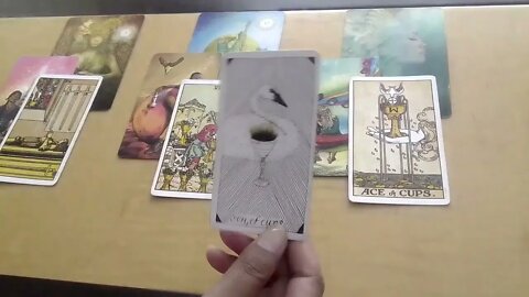 #tarot#scorpio Scorpio - Yes they have feelings for you as well. Don't doubt this connection.