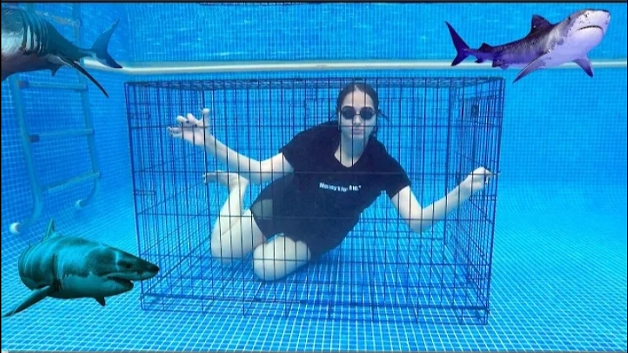 Last To Leave UNDERWATER CAGE Wins $10,000