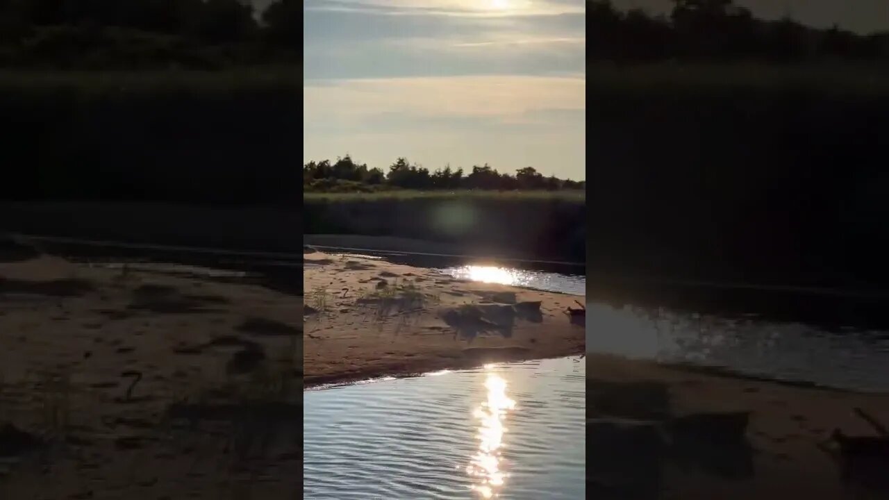 Small river at the beach