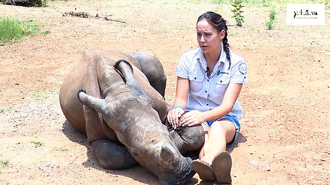 Raising A Rhino Orphan