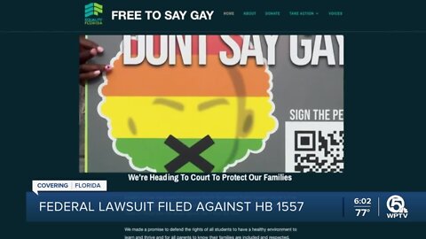 LGBTQ group sues Florida over so-called 'Don't Say Gay' law