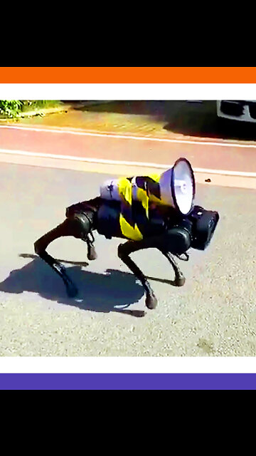 Robot Panda Bear Patrols Streets of China
