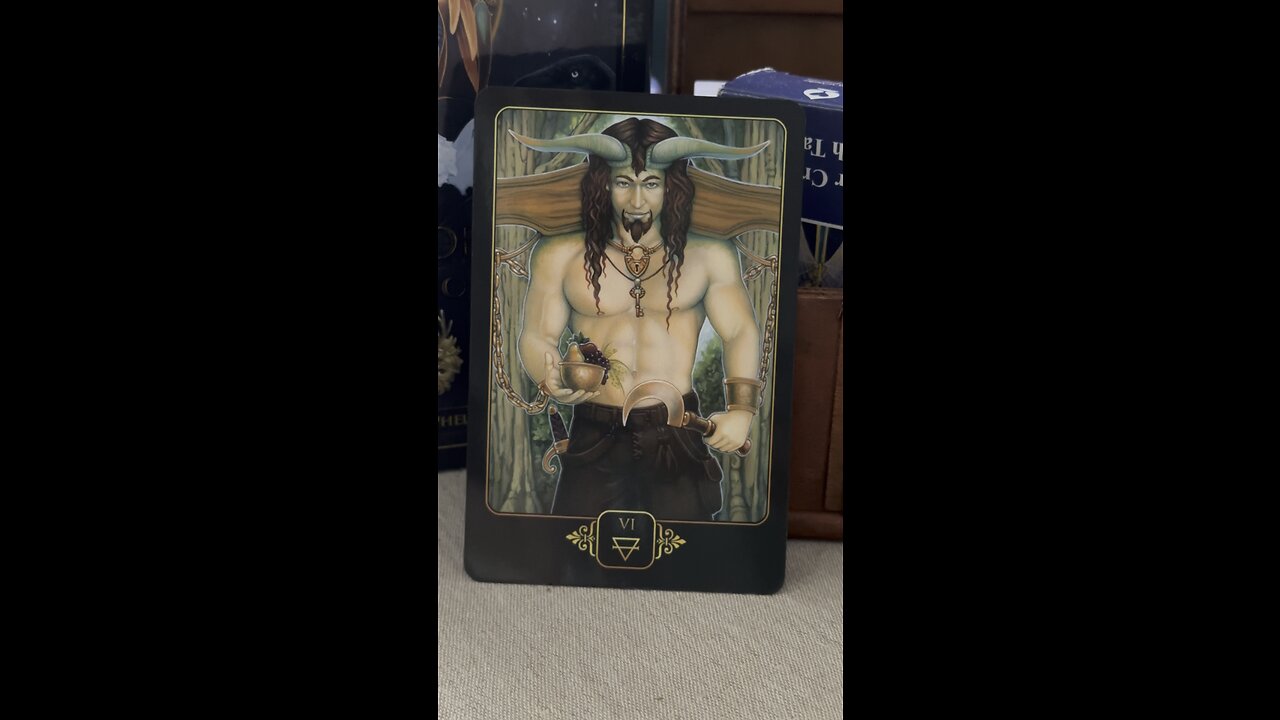 SAGITTARIUS message of the day #sagittarius #tarot #tarotary #DreamsofGaia #RavynnePhelan #dailycard