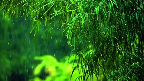 Rain Videos , Rain Sounds , Relaxing Music & Rain Sounds Beautiful Piano Music