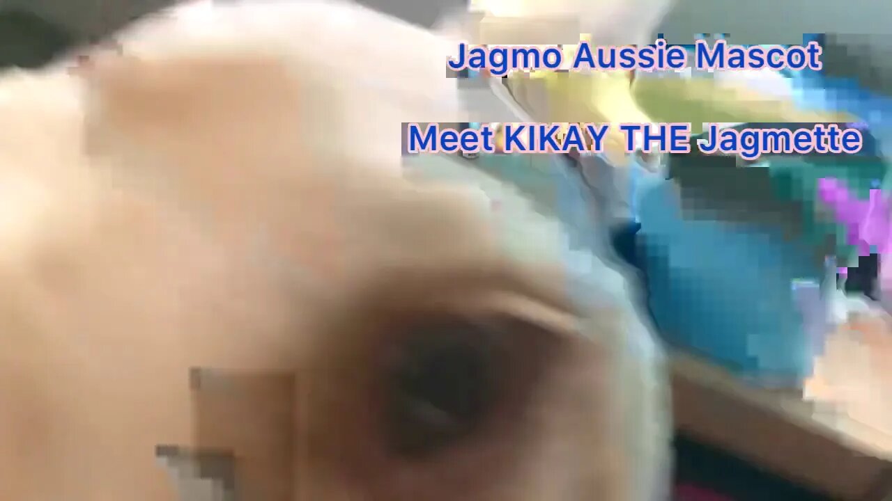 Jagmo Aussie Mascot?