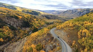 A path winds through falling leaves of aspen trees in Colorado's Rocky Mountains in the fall.