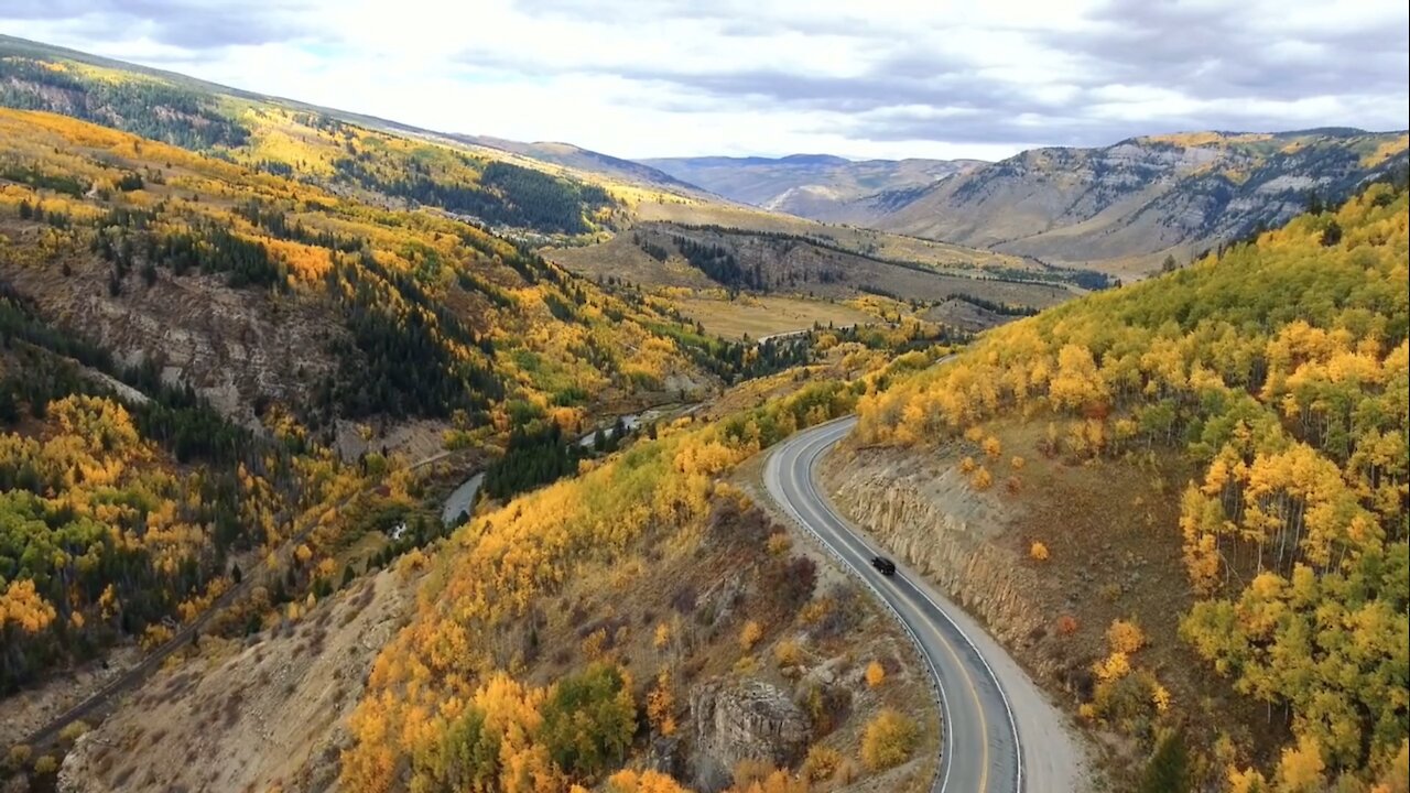 A path winds through falling leaves of aspen trees in Colorado's Rocky Mountains in the fall.