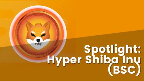 Leicester On Hyper Shiba Inu Claiming That CoinMarketCap Said They NO LONGER List Rebase Tokens