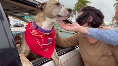 Fort Pierce dog battling cancer receives special farewell ride