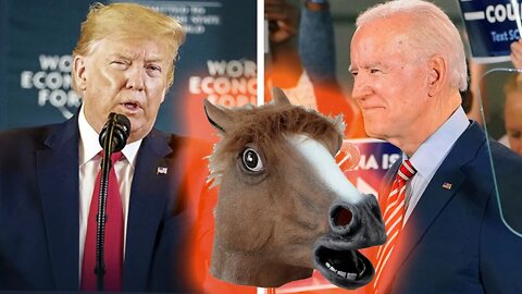 Horse Election Coverage 2020