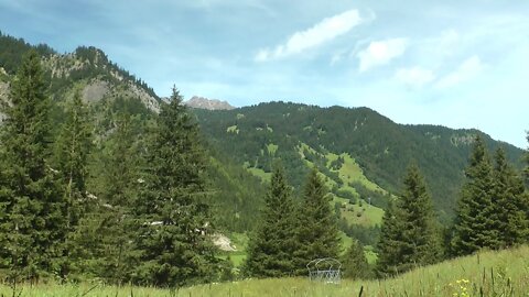 Alps; In Sun shade at Brandtal