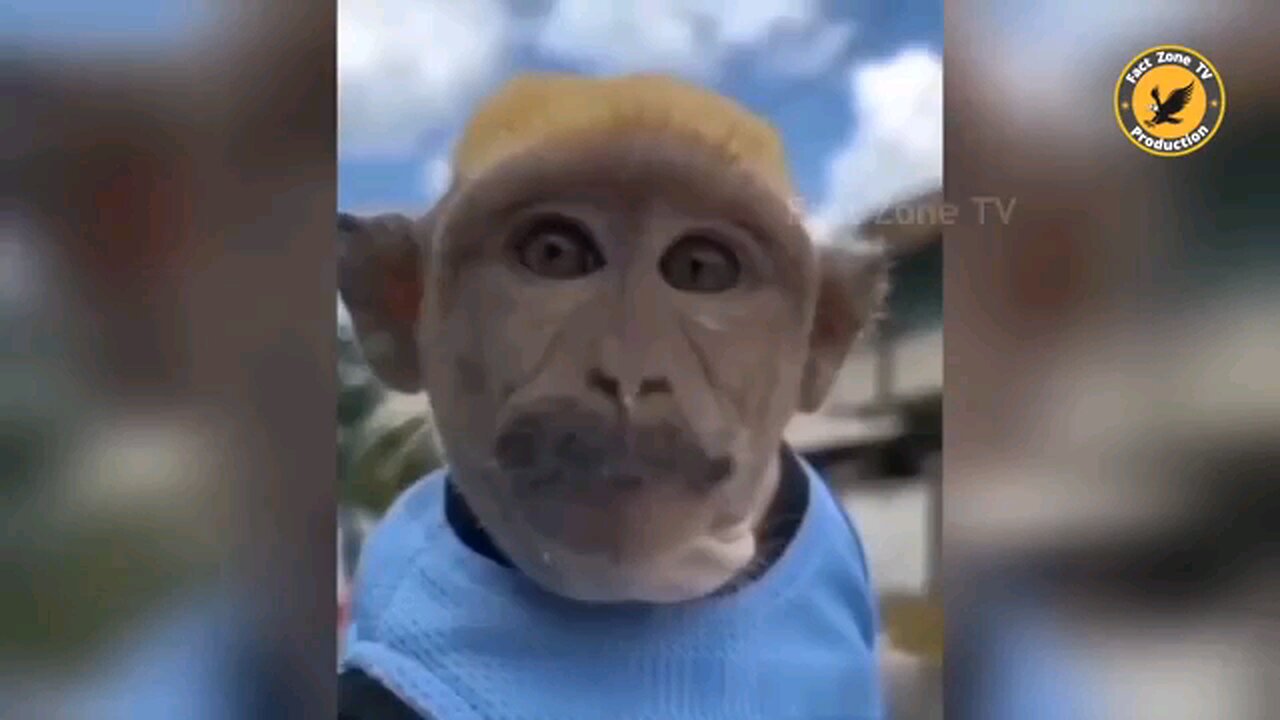 animal funny moment part 11