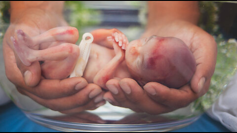 Monsanto, DoD, NATO & Billions of Chinese Fetuses (Additives)