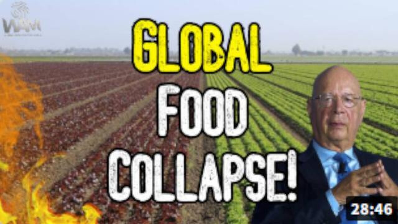 GLOBAL FOOD COLLAPSE! - SHORTAGES LEAD TO RATIONS AS GLOBALISTS ATTACK FARMERS!