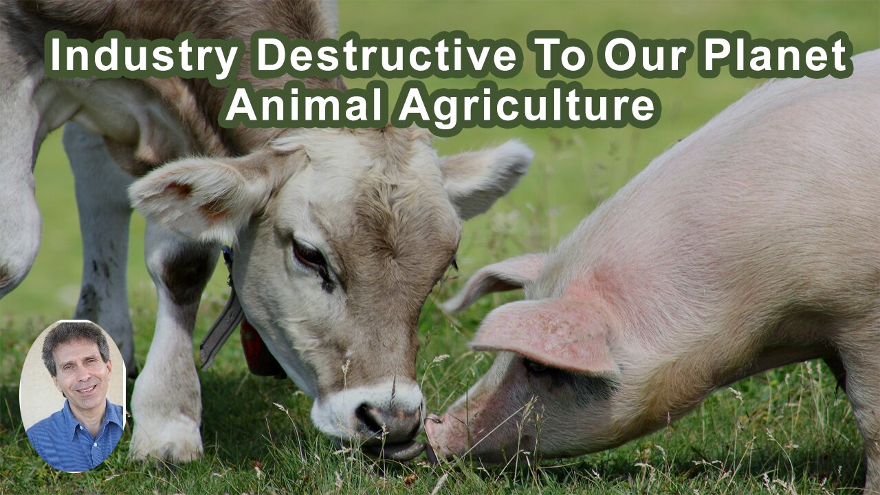 There Simply Is No Other Industry As Destructive To Our Planet As Animal Agriculture