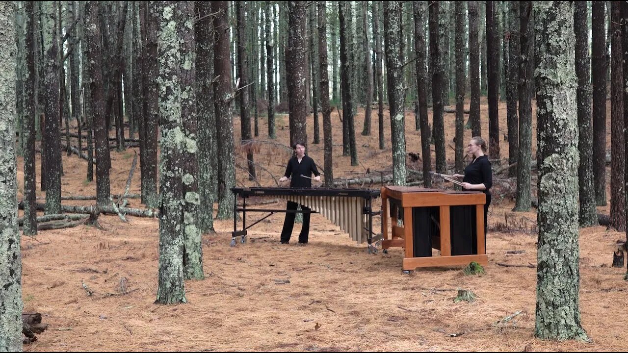 Romanian Folk Dances by Béla Bartók