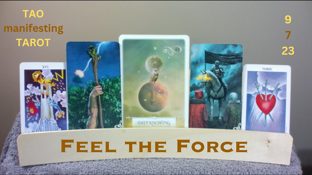 FEEL THE FORCE