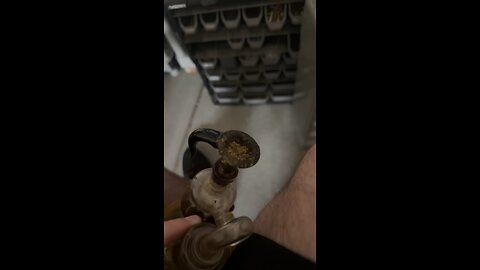 Day 45 pt2 It’s Drizzling outside right now