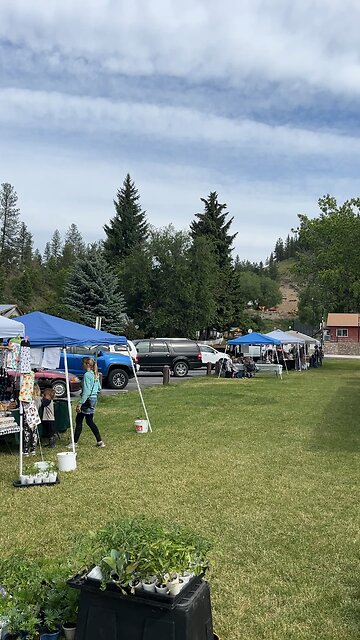 Friday Market 6-14-24