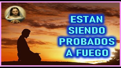 VISION DE MARIA SANTISIMA A LUCAS LAVALLA - ESTAN SIENDO PROBADOS A FUEGO
