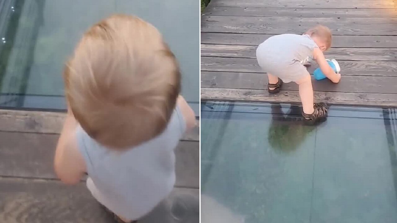 Toddler's priceless attempt to cross onto glass bridge