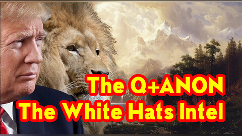 The Q+ANON - The White Hats Intel 11-23-22