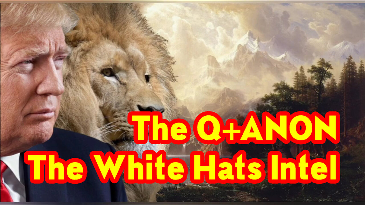 The Q+ANON - The White Hats Intel 11-23-22