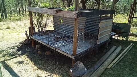 Going to turn a goat pen into a chicken pen 27th October 2021 Video 3