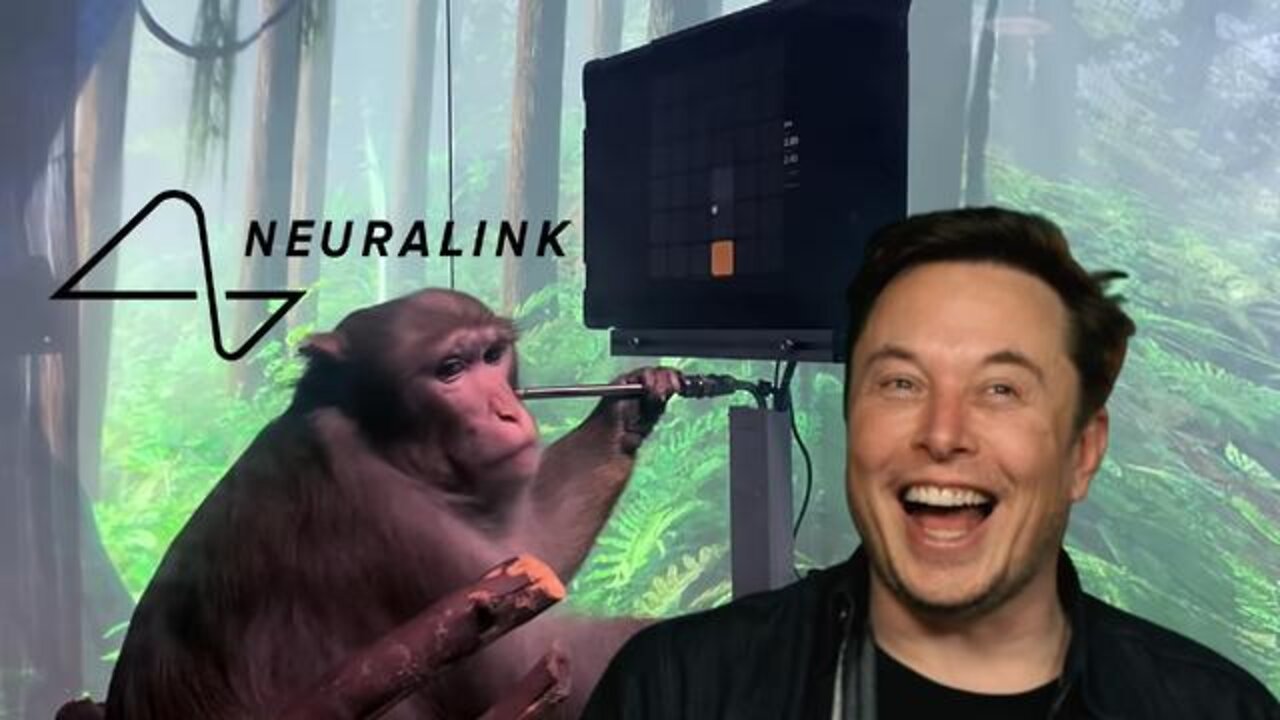 NEUROLINK CHIMPS DROPPED DEAD AFTER BRAIN IMPLANTS ACCORDING TO NEWS REPORTS