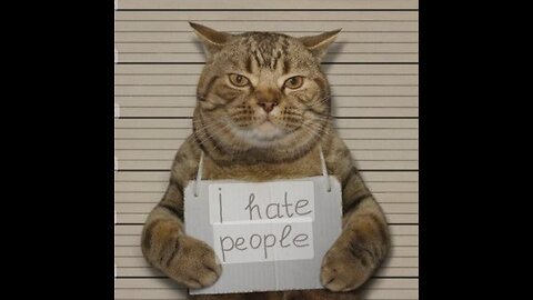 Cat se I hate people 😡