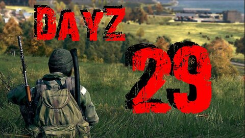 DayZ #29