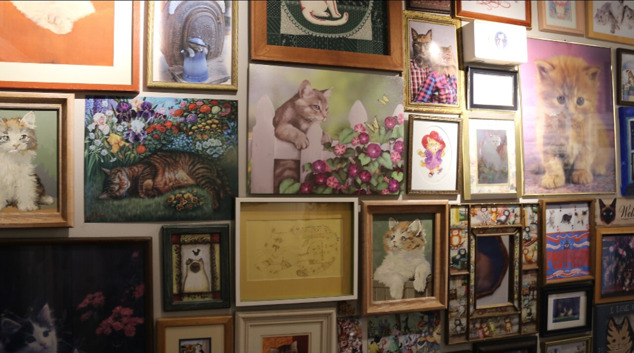 Cat figurine museum doubles in size to 7,000 items on display