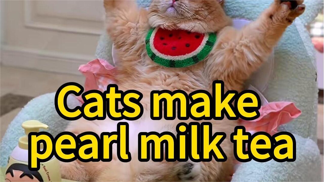 A kitten making pearl milk tea