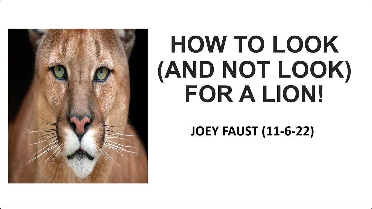 How To Look (and Not Look) for a Lion!