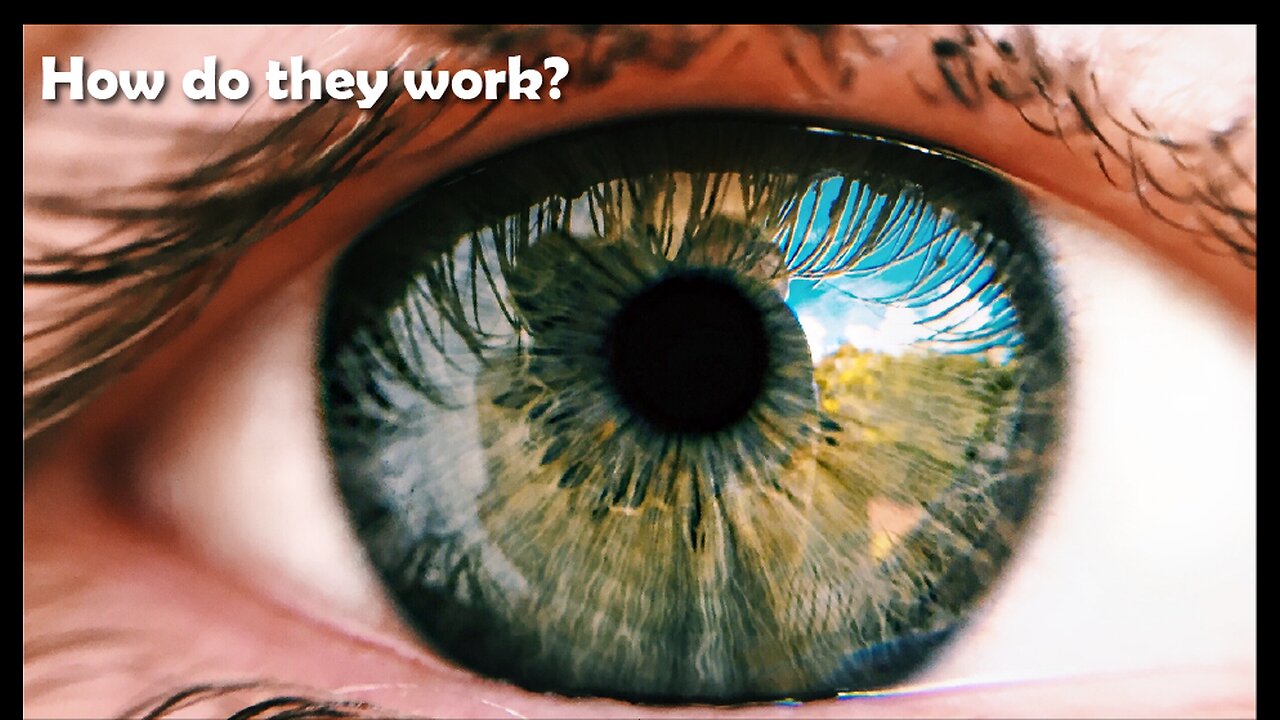 How does the human eye work?