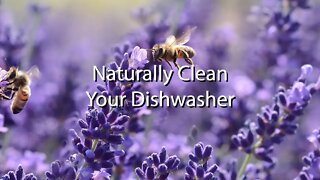 Naturally Clean Your Dishwasher