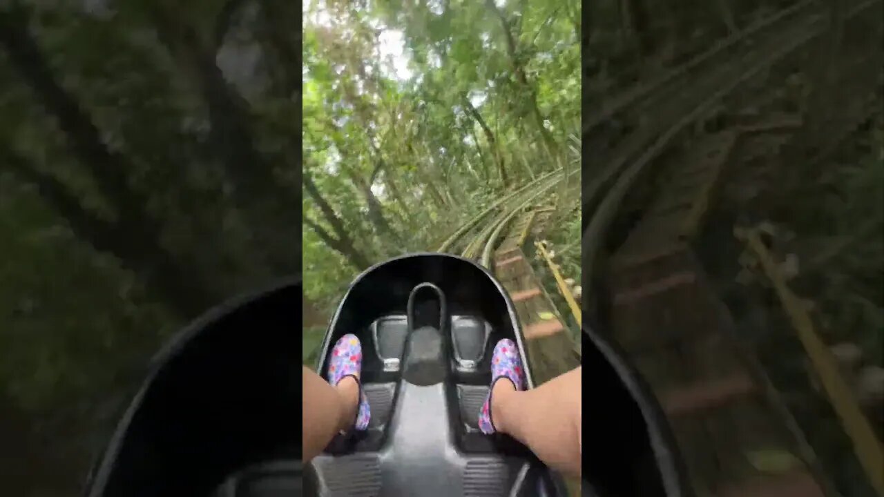 Jamaican Bobsledding?! Yep, Cool Runnings-style at #MysticMountain