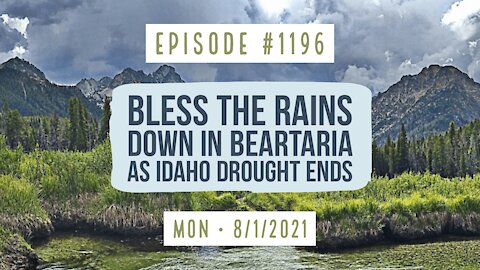 #1196 Bless The Rains Down In BearTaria As Idaho Drought Ends