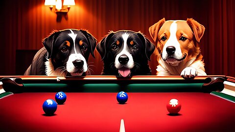 Funny dogs playing billiards video