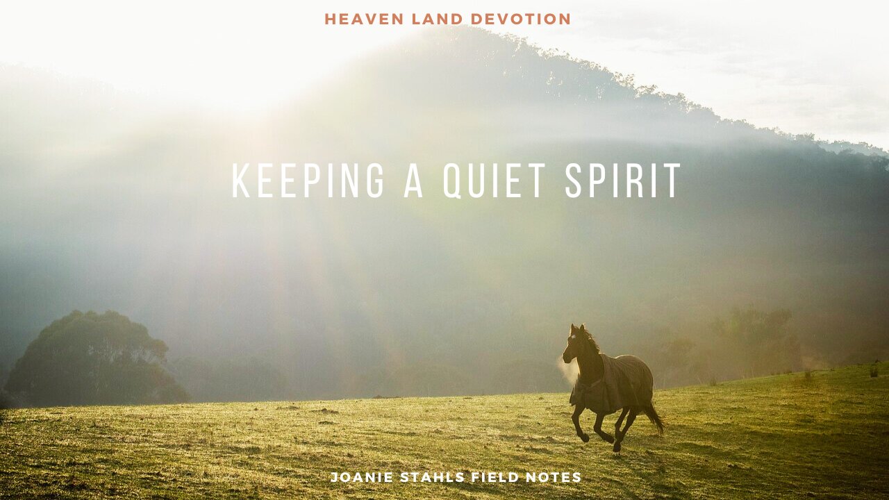 Heaven Land Devotions - Keeping A Quiet Spirit